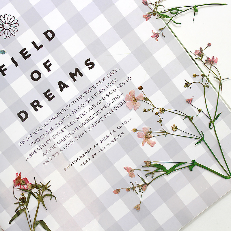 12pcs 5-6cm 드라이 플라워 헤드 수지 금형에  - Dried Flower Bookmark 리뷰 및 가격