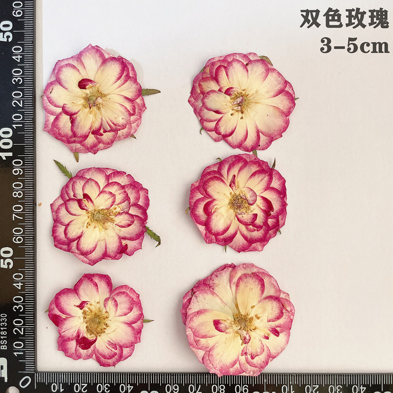 60pcs 누르면 말린 빨간색 노란색 핑크 장미 꽃 식 - Dried Flower Bookmark 리뷰 및 가격