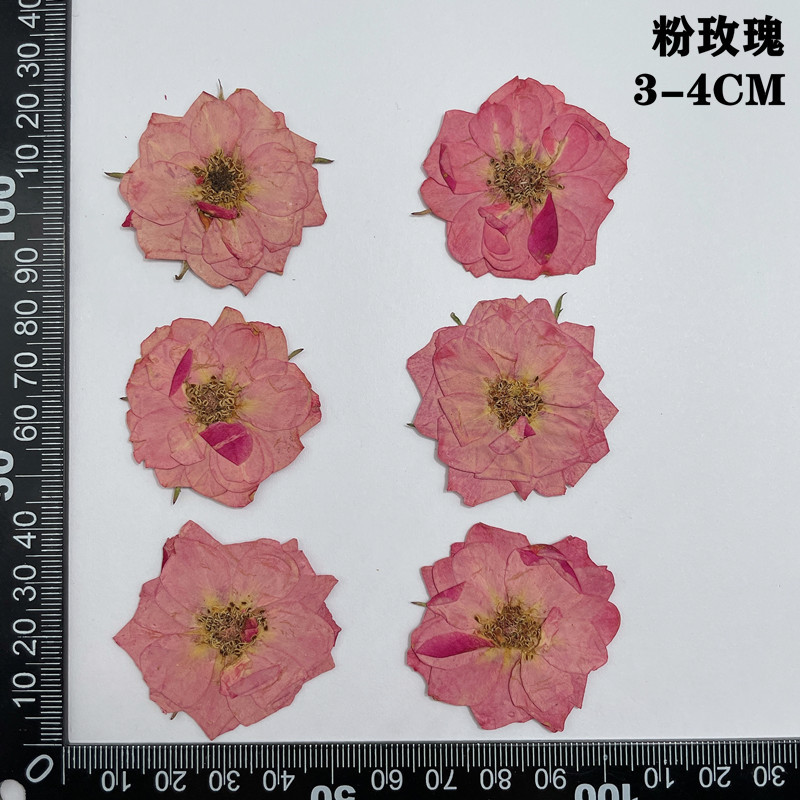 60pcs 누르면 말린 빨간색 노란색 핑크 장미 꽃 식 - Dried Flower Bookmark 리뷰 및 가격