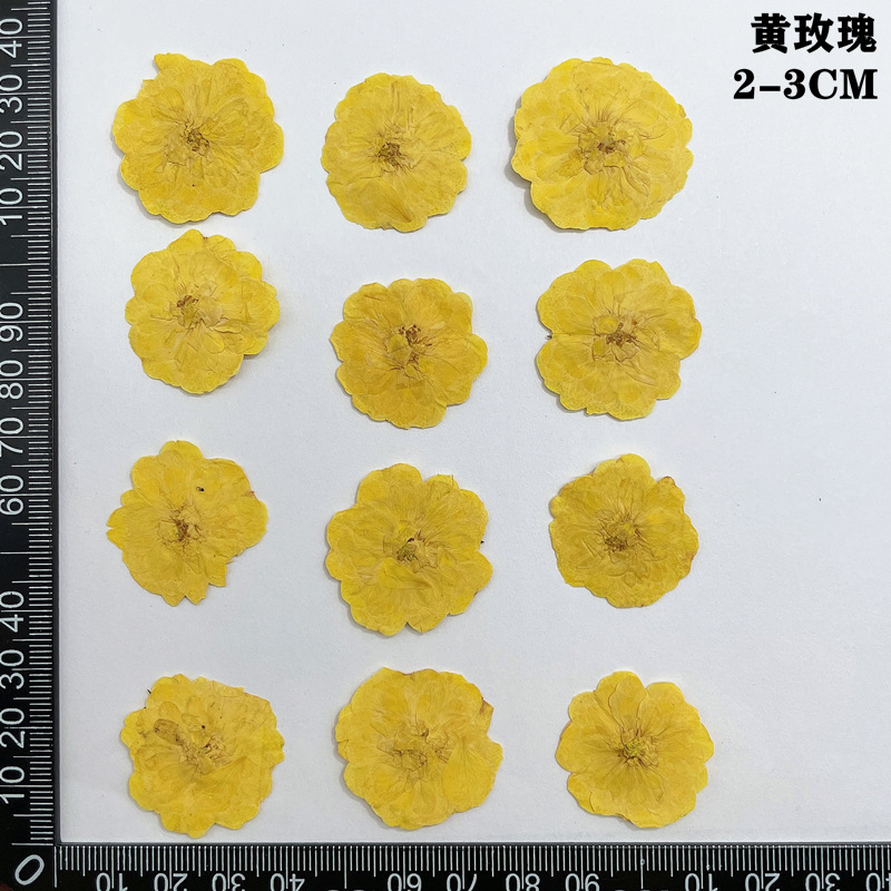 60pcs 누르면 말린 빨간색 노란색 핑크 장미 꽃 식 - Dried Flower Bookmark 리뷰 및 가격