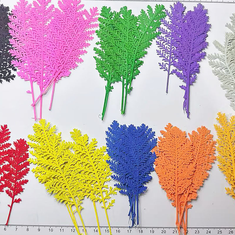 100개 천연 은색 깃털 잎사귀, 색상으로 염색한 압화 - Dried Flower Bookmark 리뷰 및 가격